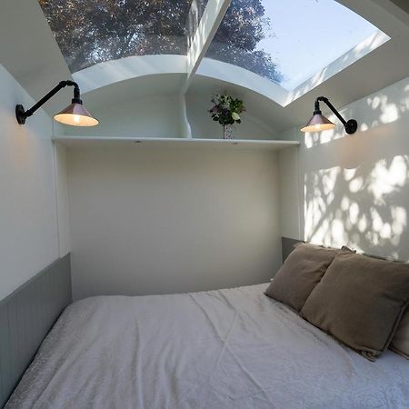Bannfield Shepherds Hut Ballymoney Exteriör bild