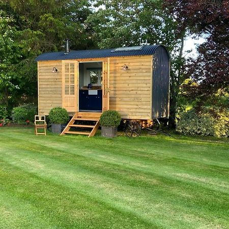 Bannfield Shepherds Hut Ballymoney Exteriör bild