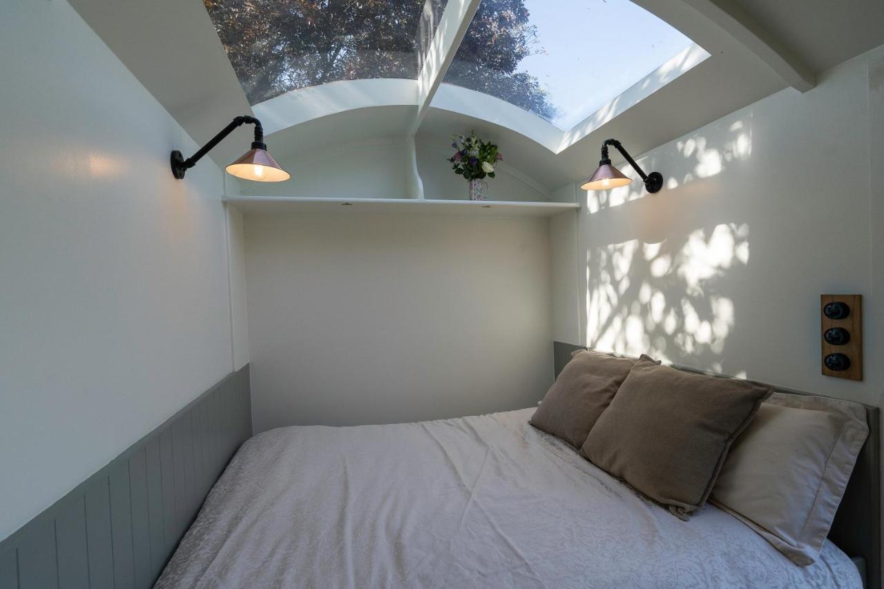 Bannfield Shepherds Hut Ballymoney Exteriör bild